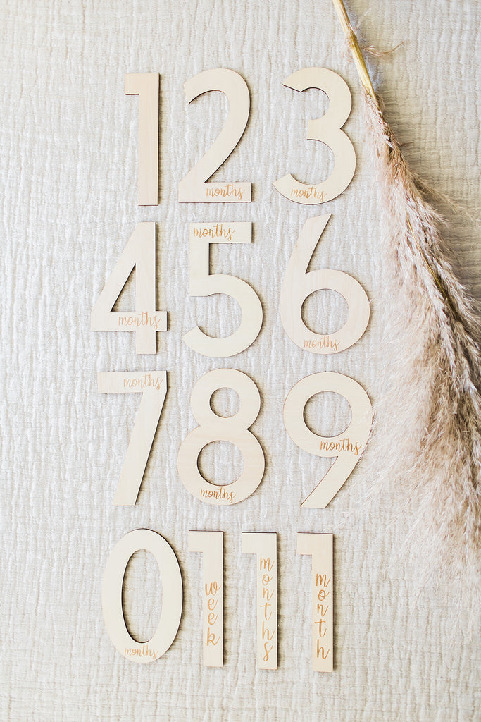 Modern Number Milestones - Cursive Font